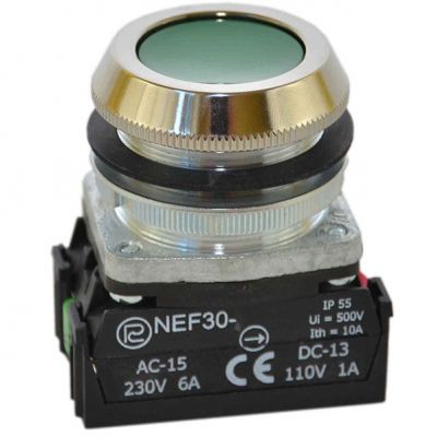 Przycisk NEF30-K2X zielony (W0-NEF30-K 2X Z)